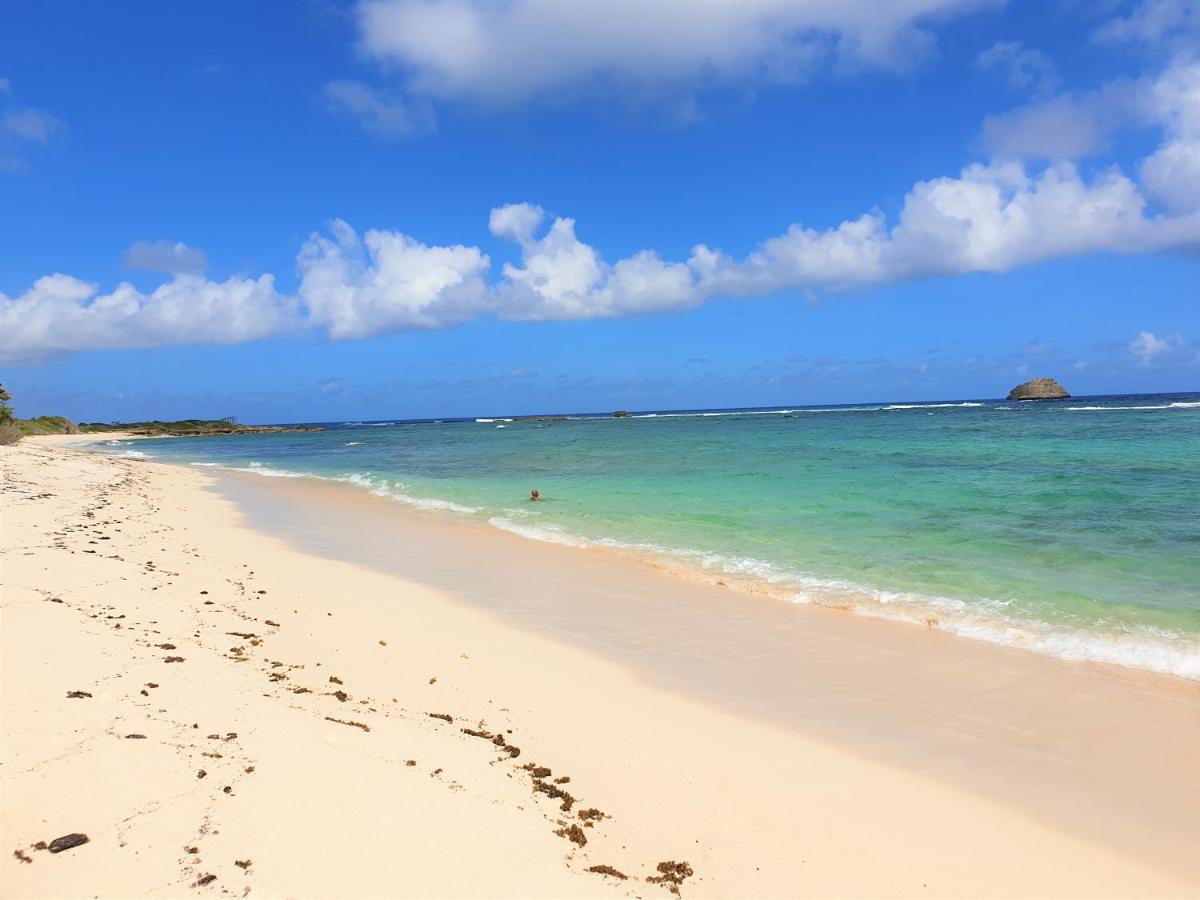 Villa Guadeloupe Saint Francois Acces Mer Piscine Iguana Bay - Villa Zagadi Eksteriør bilde