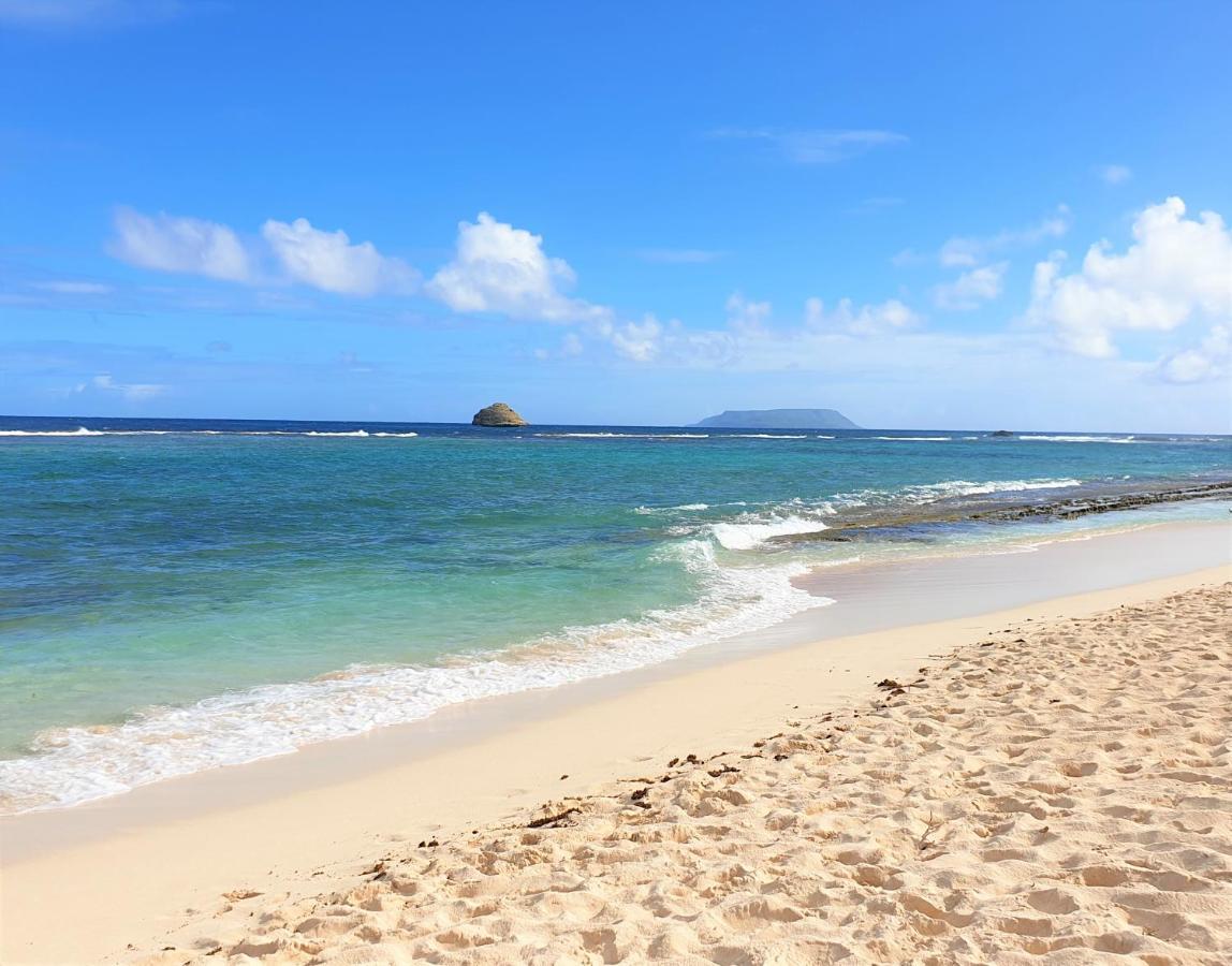 Villa Guadeloupe Saint Francois Acces Mer Piscine Iguana Bay - Villa Zagadi Eksteriør bilde
