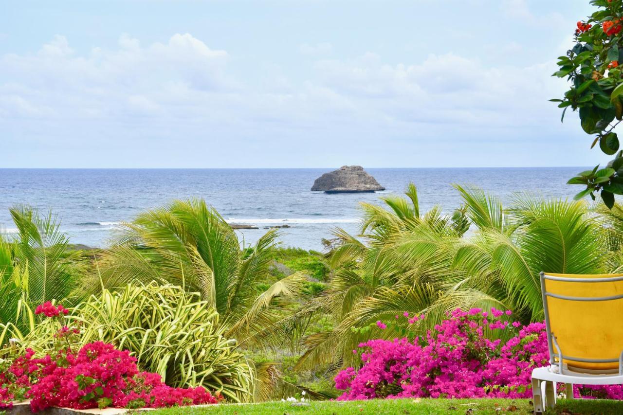 Villa Guadeloupe Saint Francois Acces Mer Piscine Iguana Bay - Villa Zagadi Eksteriør bilde