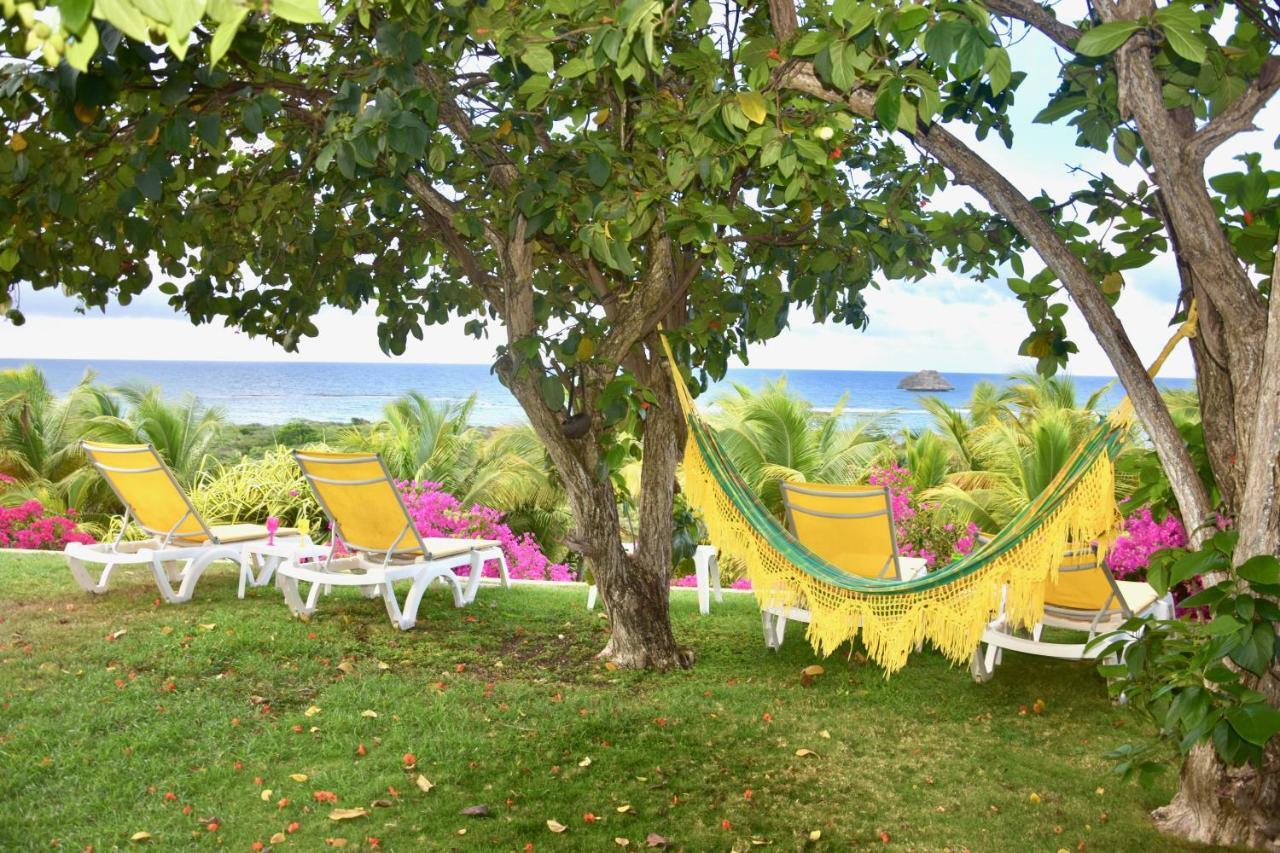 Villa Guadeloupe Saint Francois Acces Mer Piscine Iguana Bay - Villa Zagadi Eksteriør bilde
