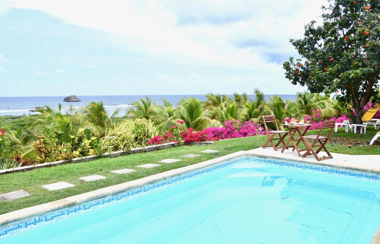 Villa Guadeloupe Saint Francois Acces Mer Piscine Iguana Bay - Villa Zagadi Eksteriør bilde