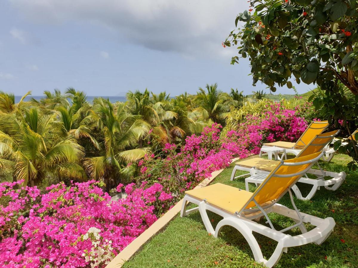 Villa Guadeloupe Saint Francois Acces Mer Piscine Iguana Bay - Villa Zagadi Eksteriør bilde