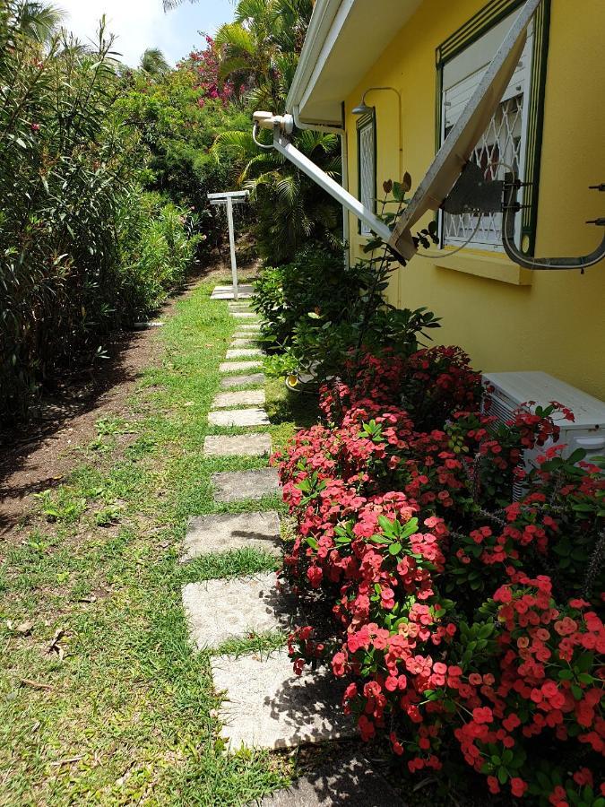 Villa Guadeloupe Saint Francois Acces Mer Piscine Iguana Bay - Villa Zagadi Eksteriør bilde