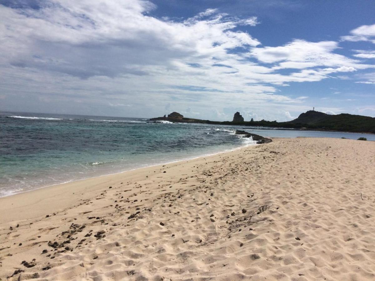 Villa Guadeloupe Saint Francois Acces Mer Piscine Iguana Bay - Villa Zagadi Eksteriør bilde