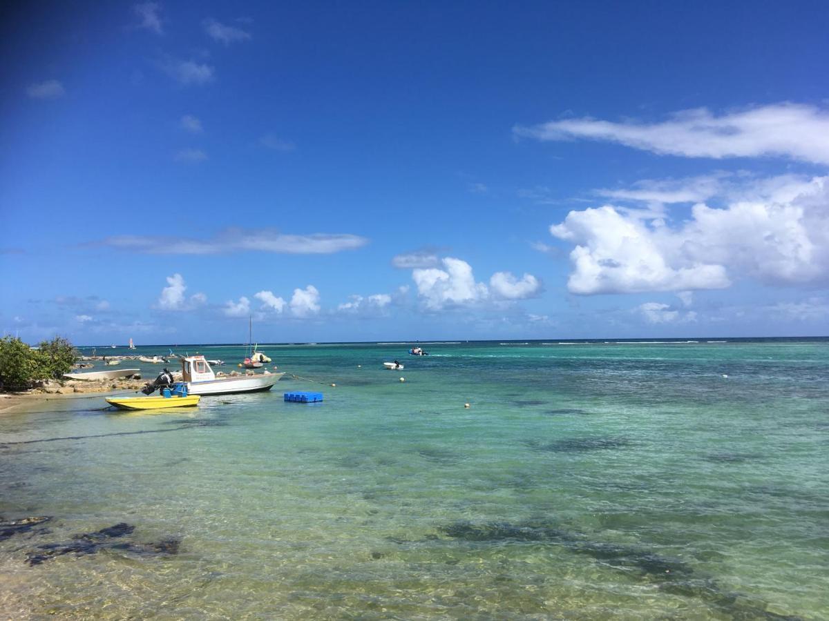 Villa Guadeloupe Saint Francois Acces Mer Piscine Iguana Bay - Villa Zagadi Eksteriør bilde