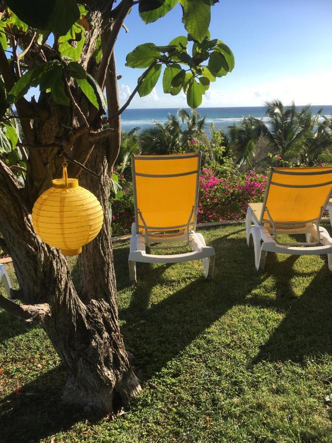Villa Guadeloupe Saint Francois Acces Mer Piscine Iguana Bay - Villa Zagadi Eksteriør bilde
